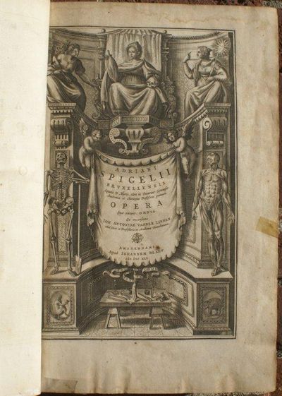 Image for Opera quae extant, omnia. Ex recensione Joh. Antonidae vander Linden.