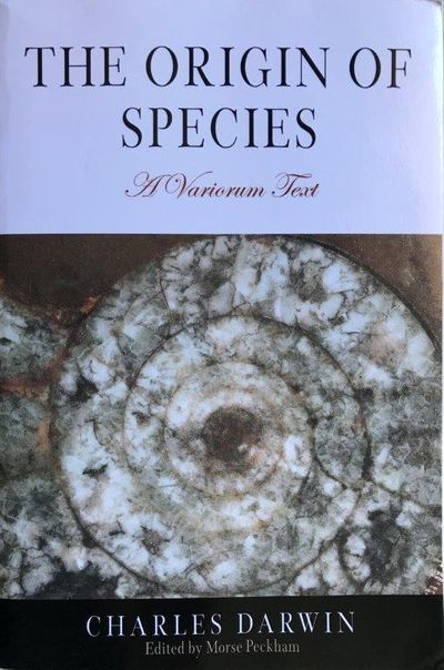 the origin of species response essay Stress response randolph m nesse phylogeny the evolutionary history of a trait or a species trade-offs the fitness costs and benefits of a trait whose net. the origin of species response essay Stress response randolph m nesse phylogeny the evolutionary history of a trait or a species trade-offs the fitness costs and benefits of a trait whose net.