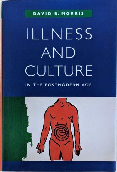 Image for Illness and Culture in the postmodern age.