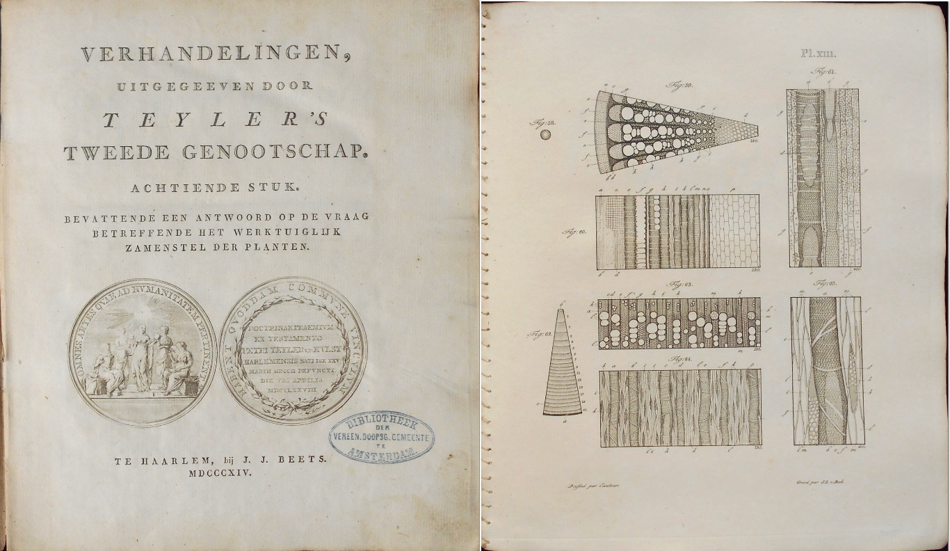 Image for Memoire sur l'Organisation des Plantes ou Reponse a la Question Physique Proposee par la Societe Teylerienne.